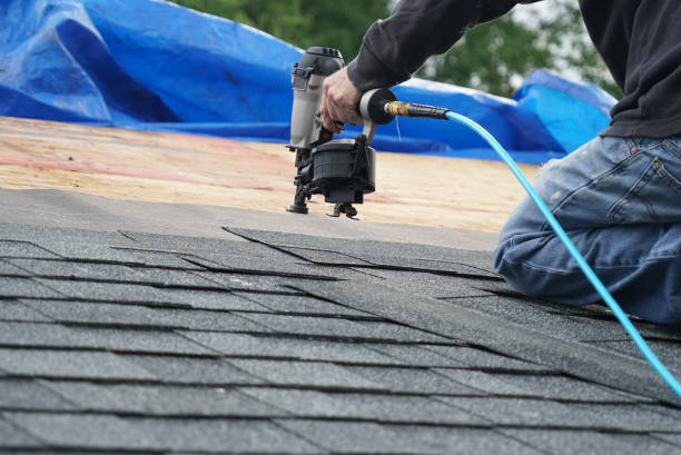 Best Metal Roofing Contractor  in Seco Mines, TX