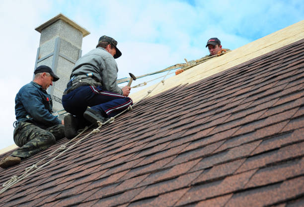 Best New Roof Installation  in Seco Mines, TX