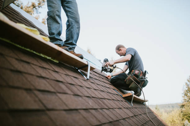 Roof Gutter Cleaning in Seco Mines, TX